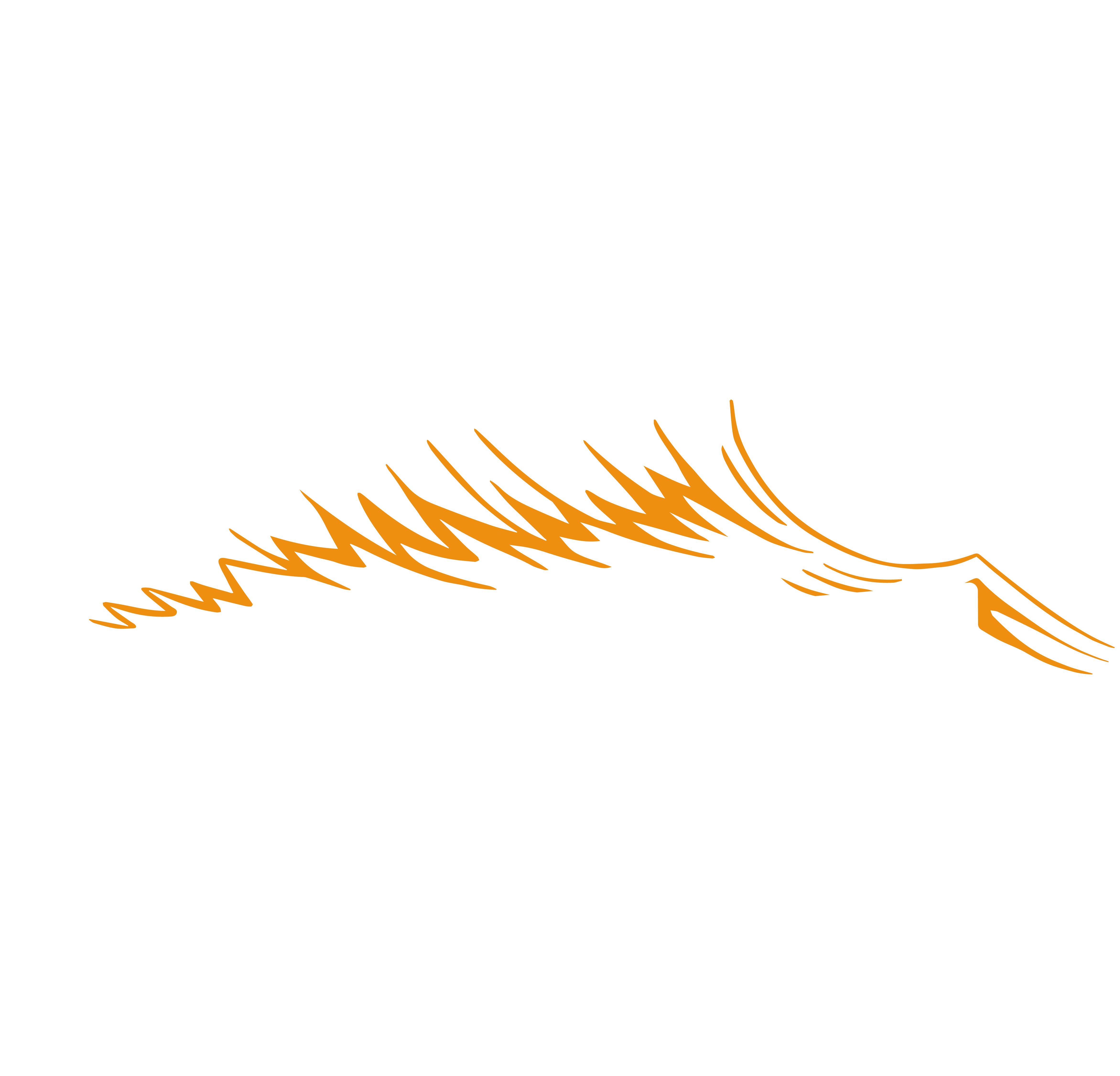 Logo Brasserie Insulaire Rond