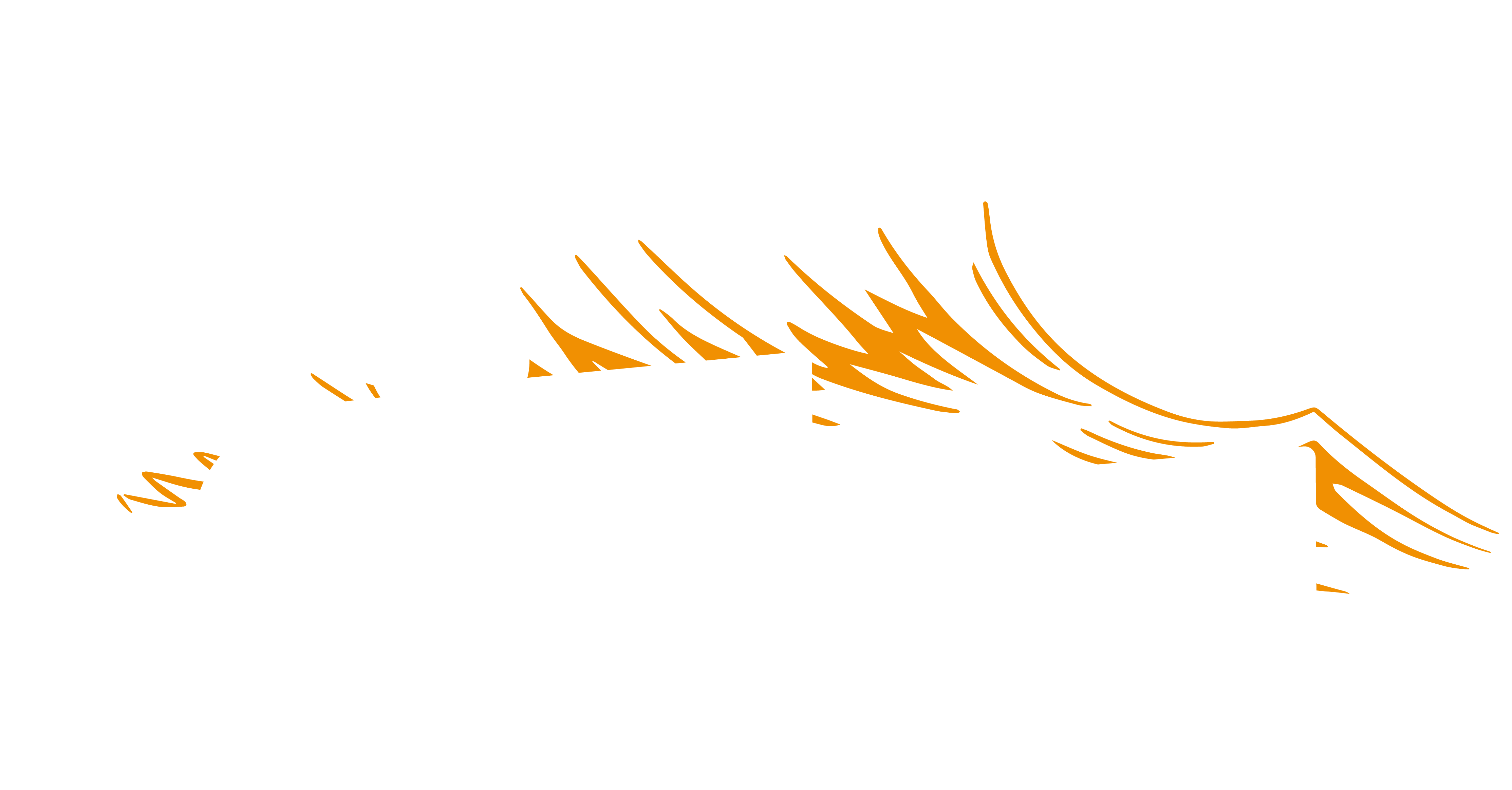 Logo Brasserie Insulaire
